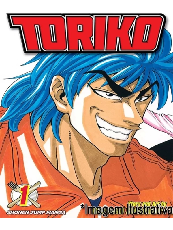 COLEÇÃO TORIKO - VOL 01 AO 04