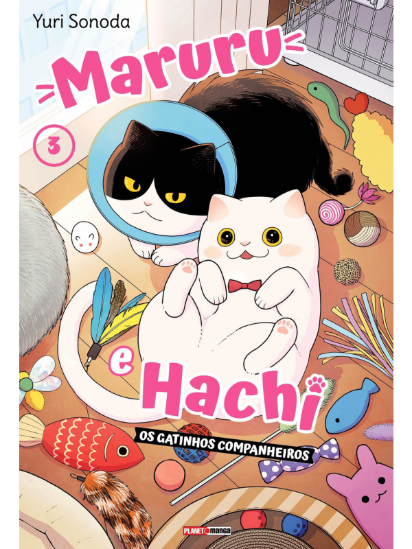Maruru e hachi: os gatinhos companheiros 03