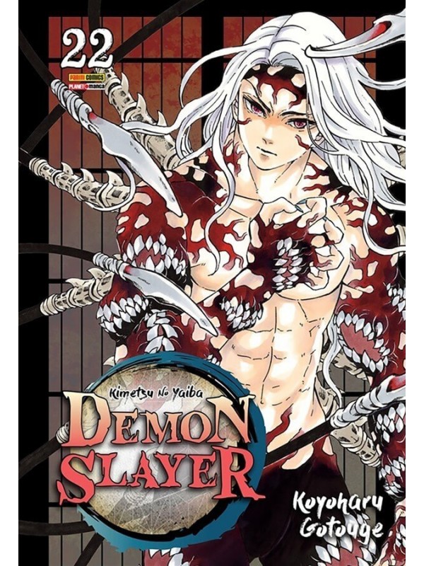 Demon Slayer - Kimetsu No Yaiba Vol. 22
