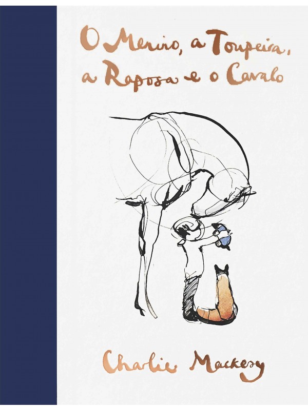O menino, a toupeira, a raposa e o cavalo