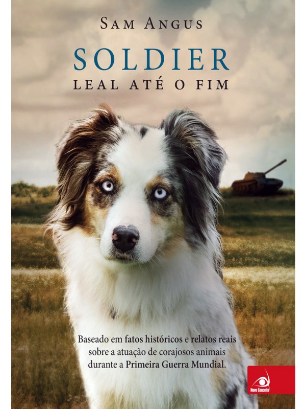 Soldier
