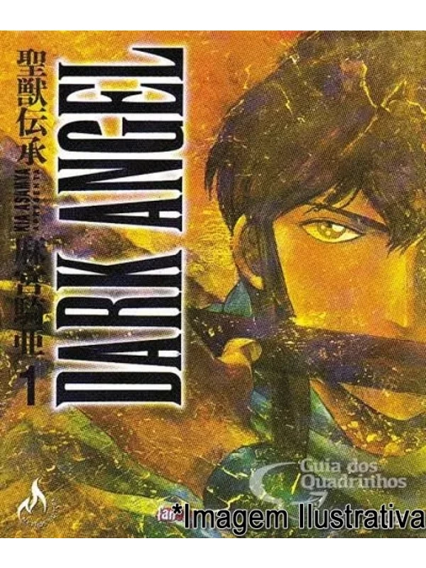 COLEÇÃO DARK ANGEL - VOL 01 AO 14 (FALTA O 05)