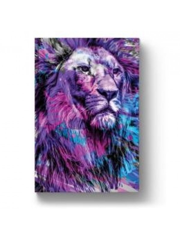 BIBLIA NTLH YOUVERSION THE LION GELO