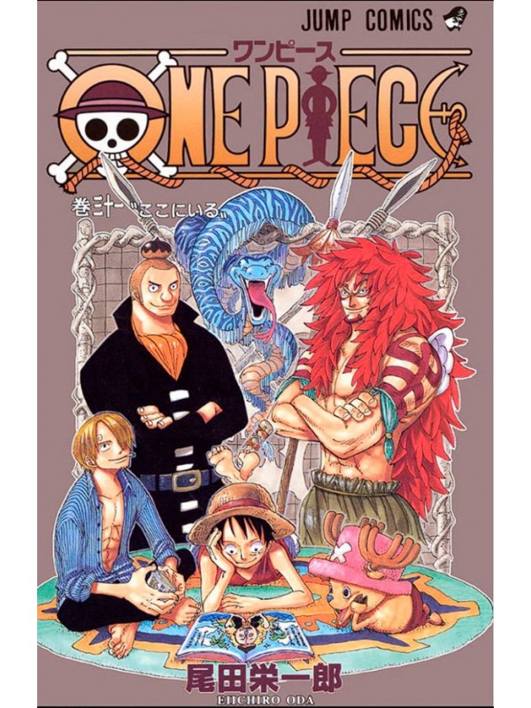 One Piece (3 Em 1) - 11