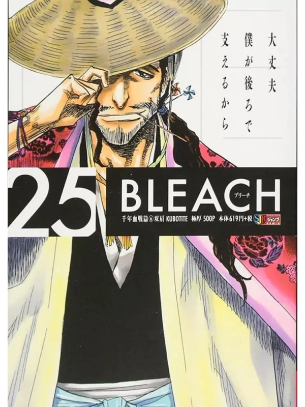 Bleach Remix Vol. 25