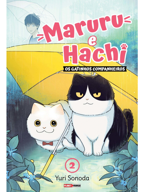 Maruru e Hachi: Os Gatinhos Companheiros 02