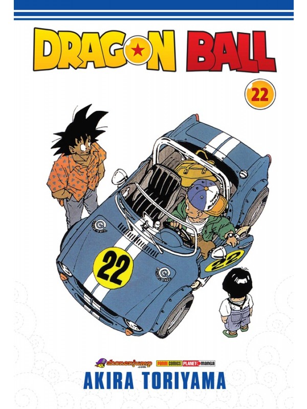 Dragon Ball - 22