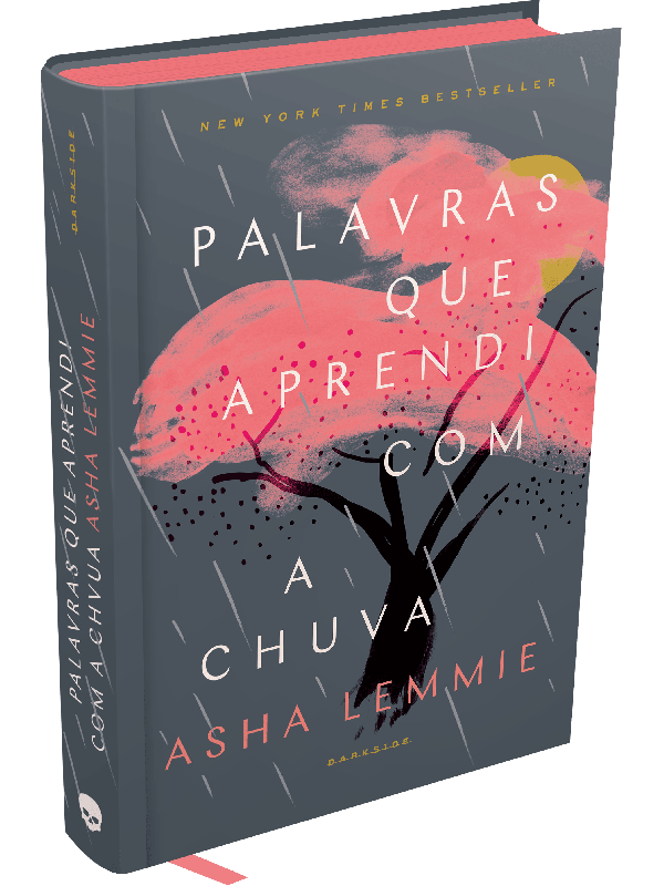 Palavras que Aprendi com a Chuva