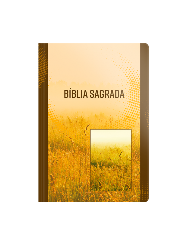 Bíblia NVI - Letra Grande - Brochura - Neutra