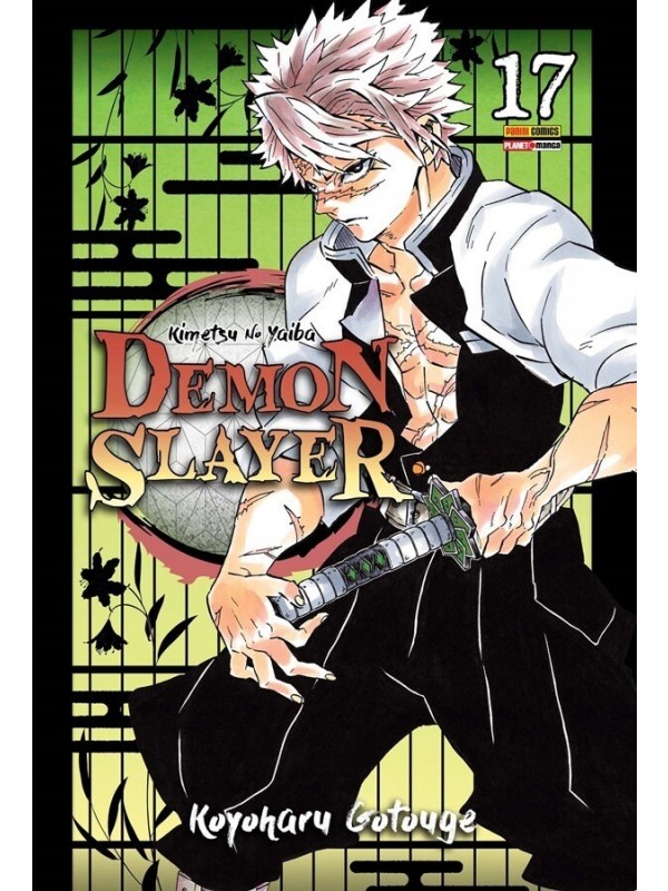 Demon Slayer - Kimetsu No Yaiba Vol. 17