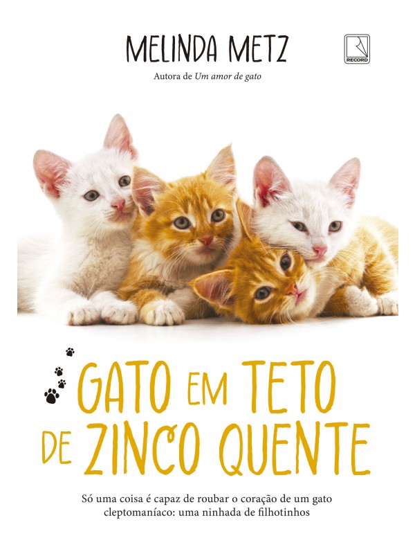 Gato em teto de zinco quente