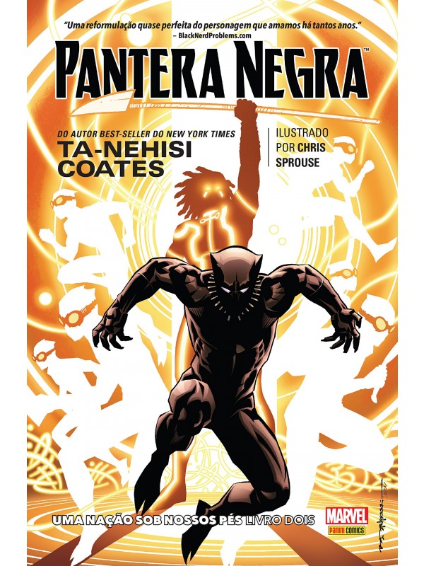 Pantera Negra: Uma nação sob nossos pés - Livro Dois