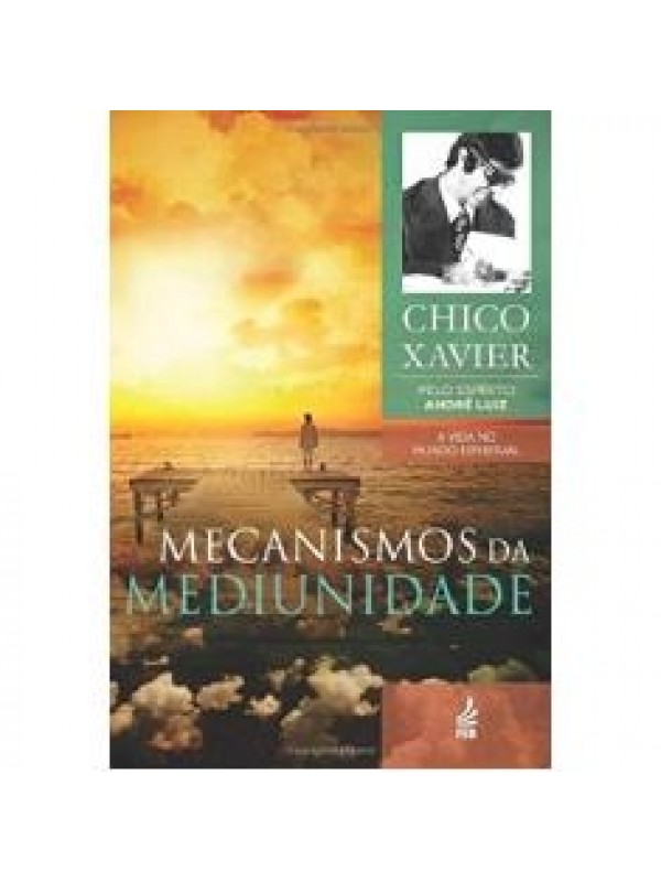 MECANISMOS DA MEDIUNIDADE