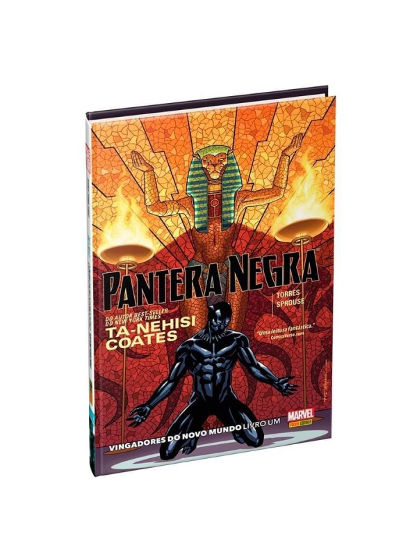 Pantera negra: vingadores do novo mundo - livro um