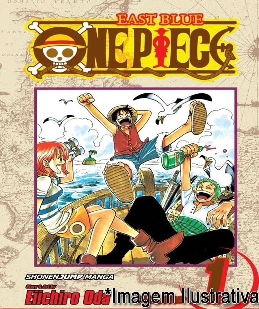 COLEÇÃO ONE PIECE - VOL 01 AO 69