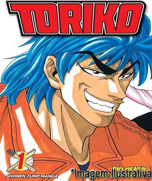COLEÇÃO TORIKO - VOL 01 AO 04
