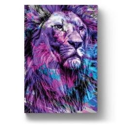 BIBLIA NTLH YOUVERSION THE LION GELO