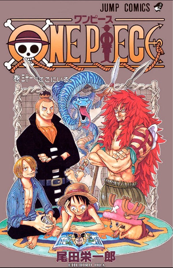 One Piece (3 Em 1) - 11