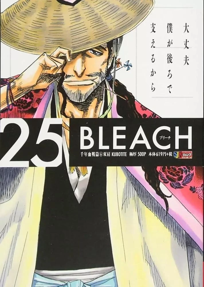 Bleach Remix Vol. 25