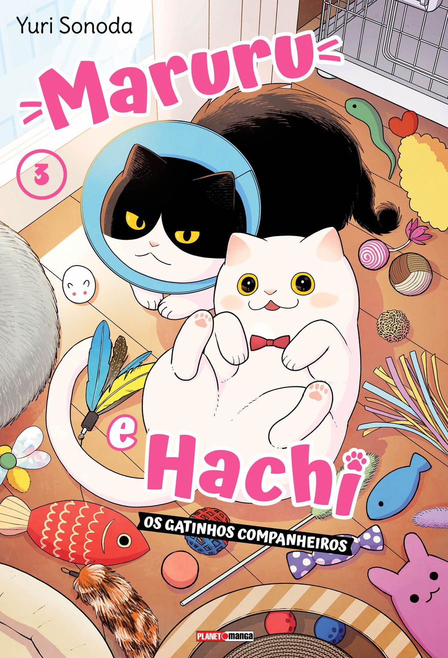 Maruru e hachi: os gatinhos companheiros 03
