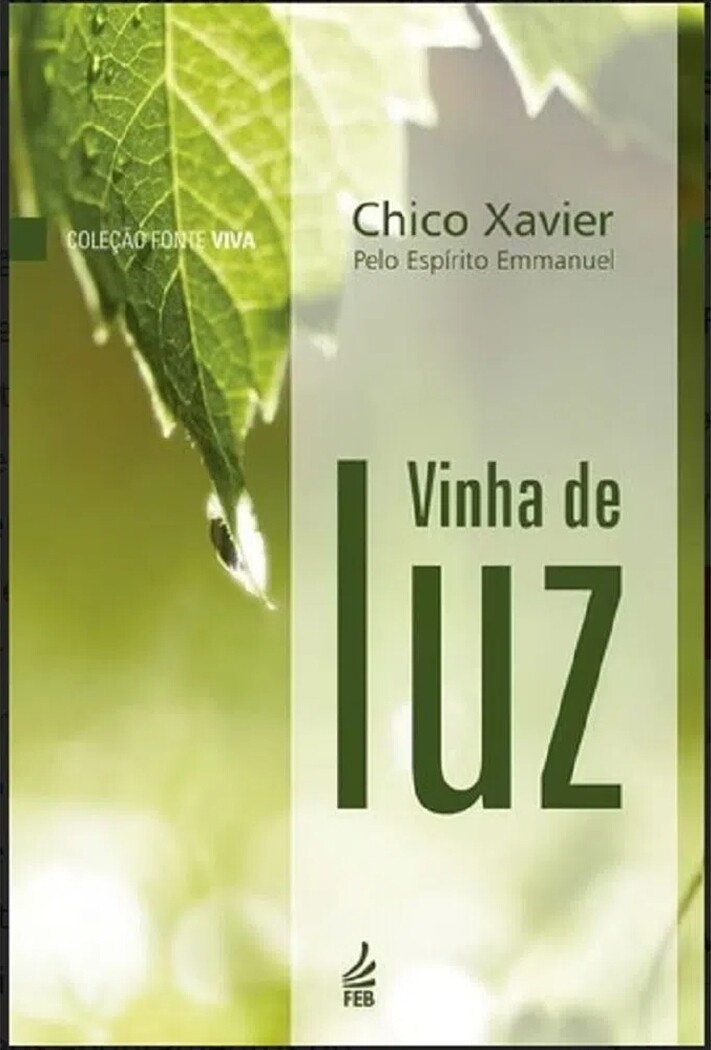 VINHA DE LUZ - CAPA DURA