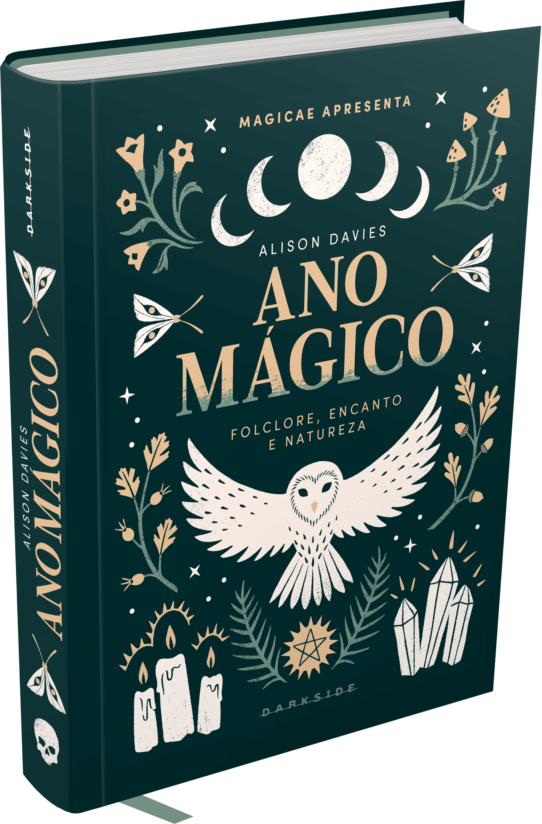 Ano Mágico