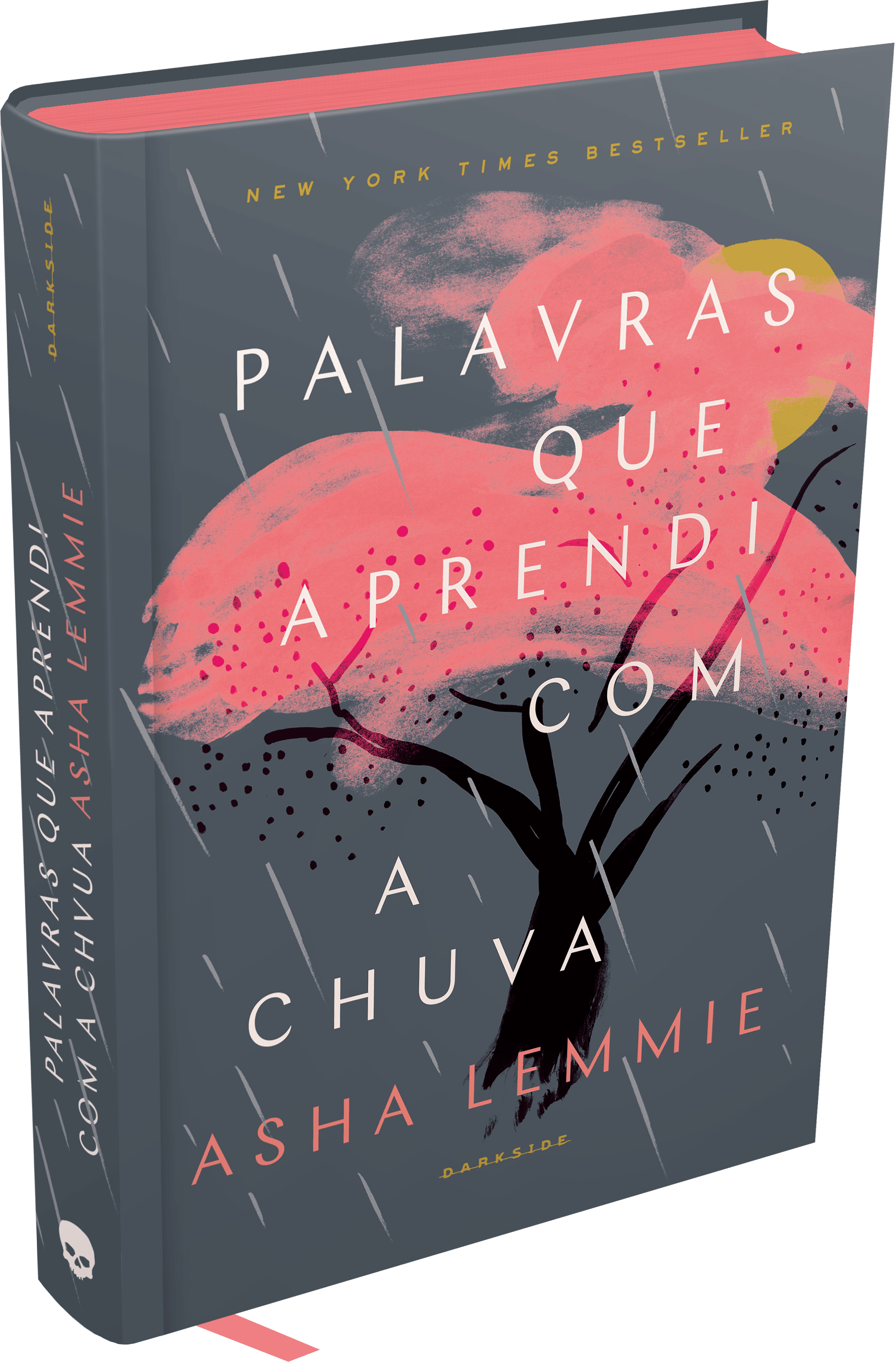 Palavras que Aprendi com a Chuva