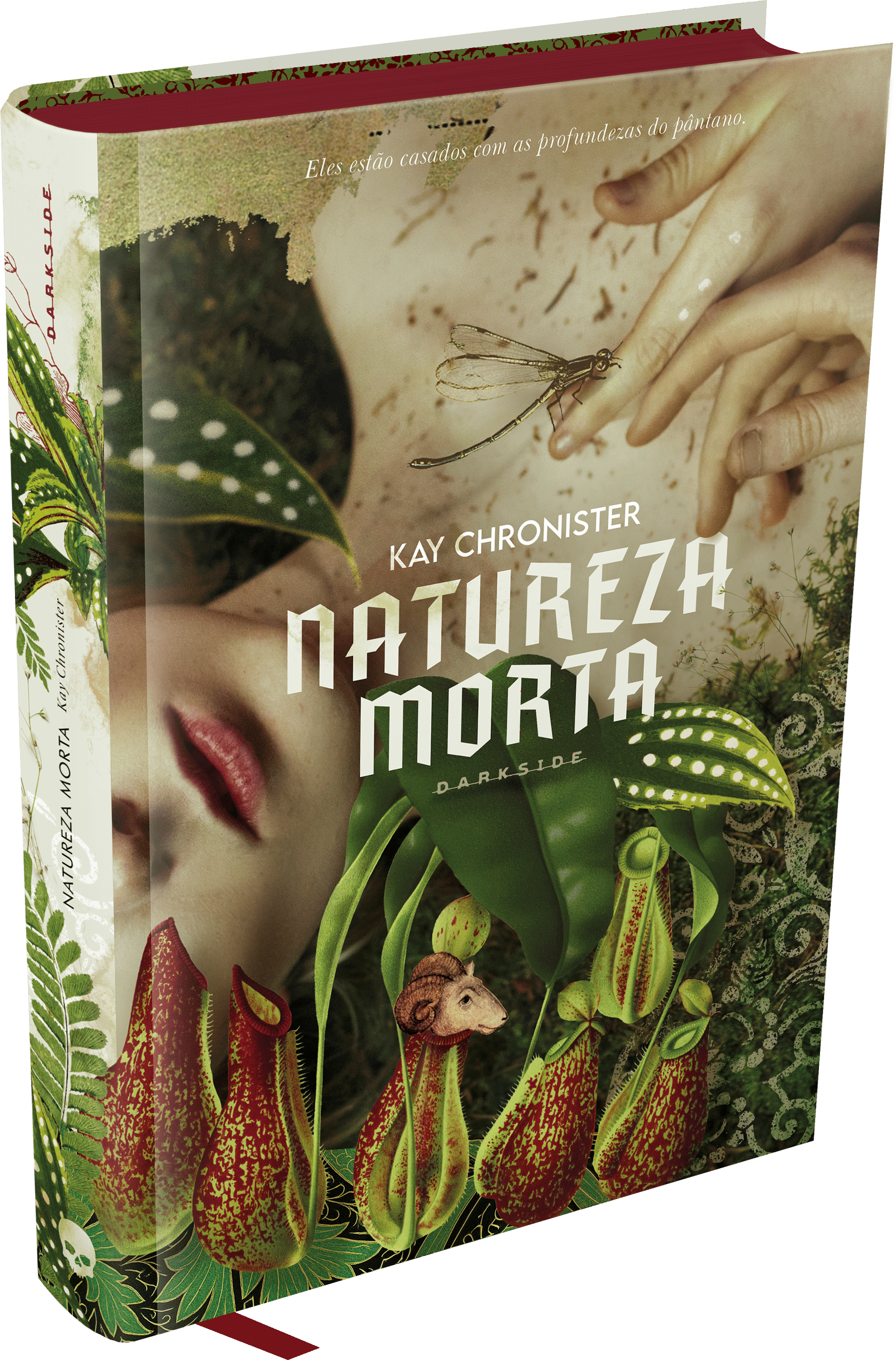 Natureza Morta