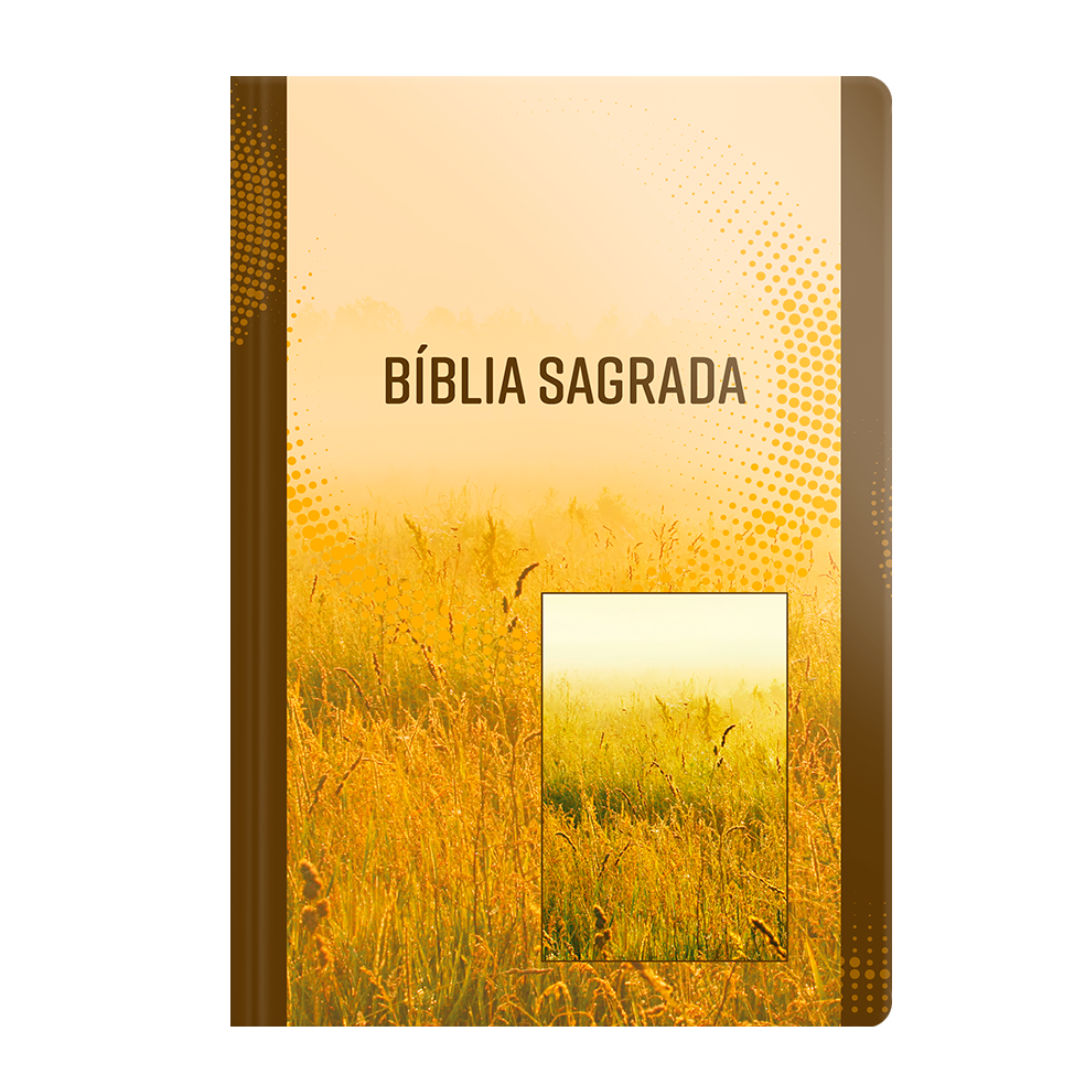 Bíblia NVI - Letra Grande - Brochura - Neutra