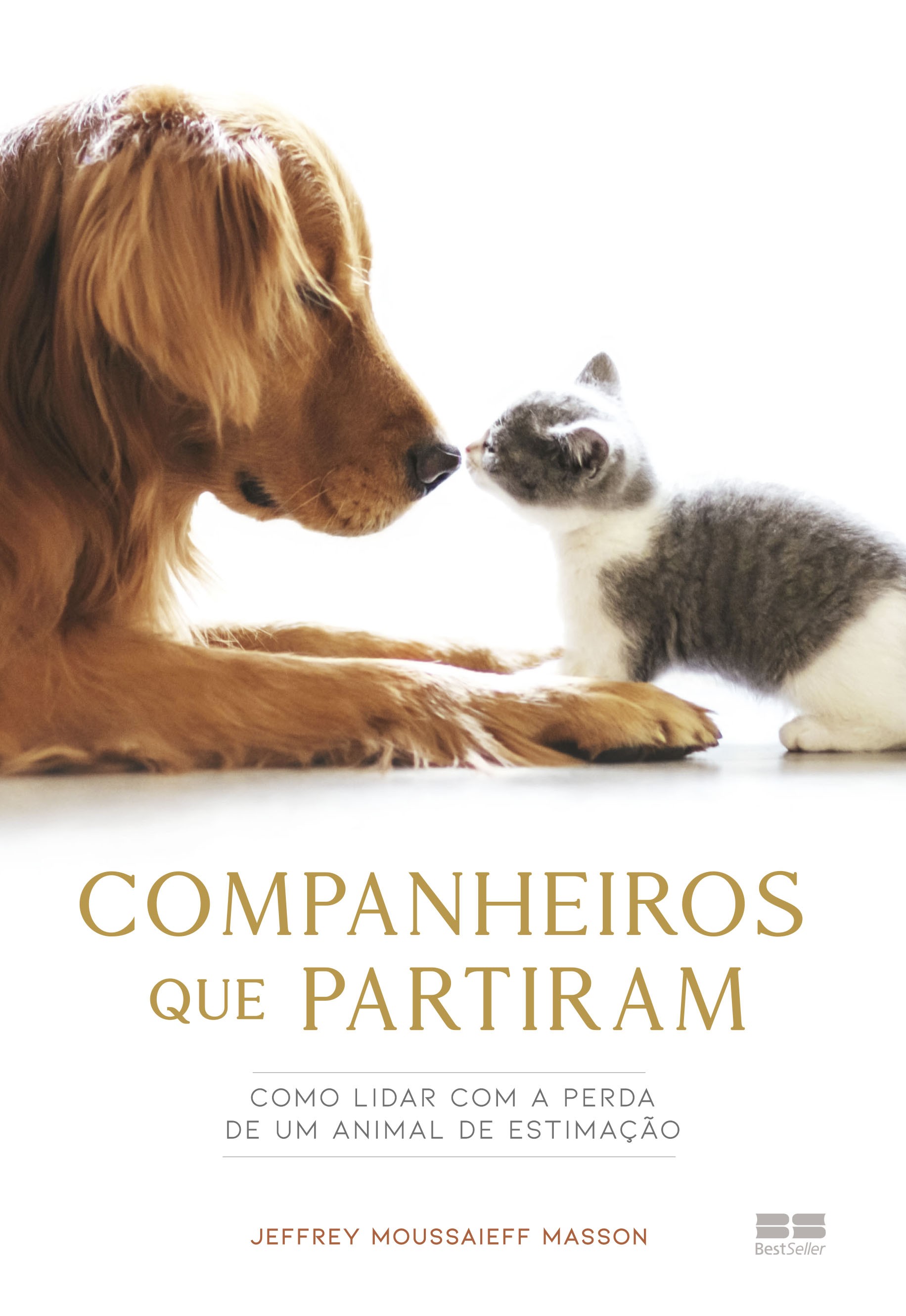 Companheiros que partiram