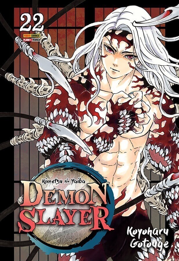 Demon Slayer - Kimetsu No Yaiba Vol. 22