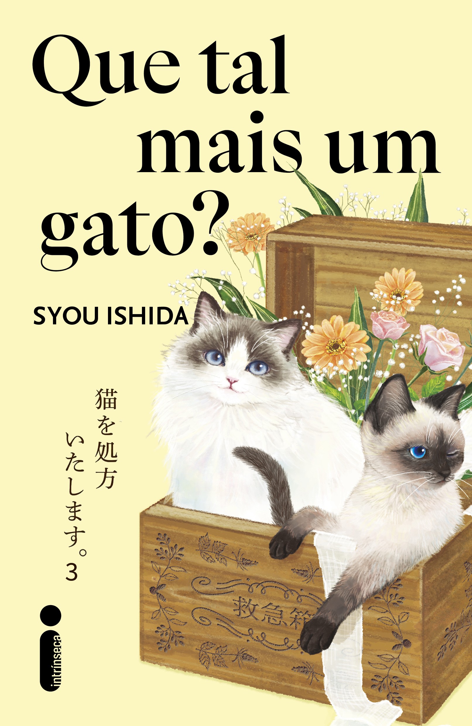 Que tal mais um gato?