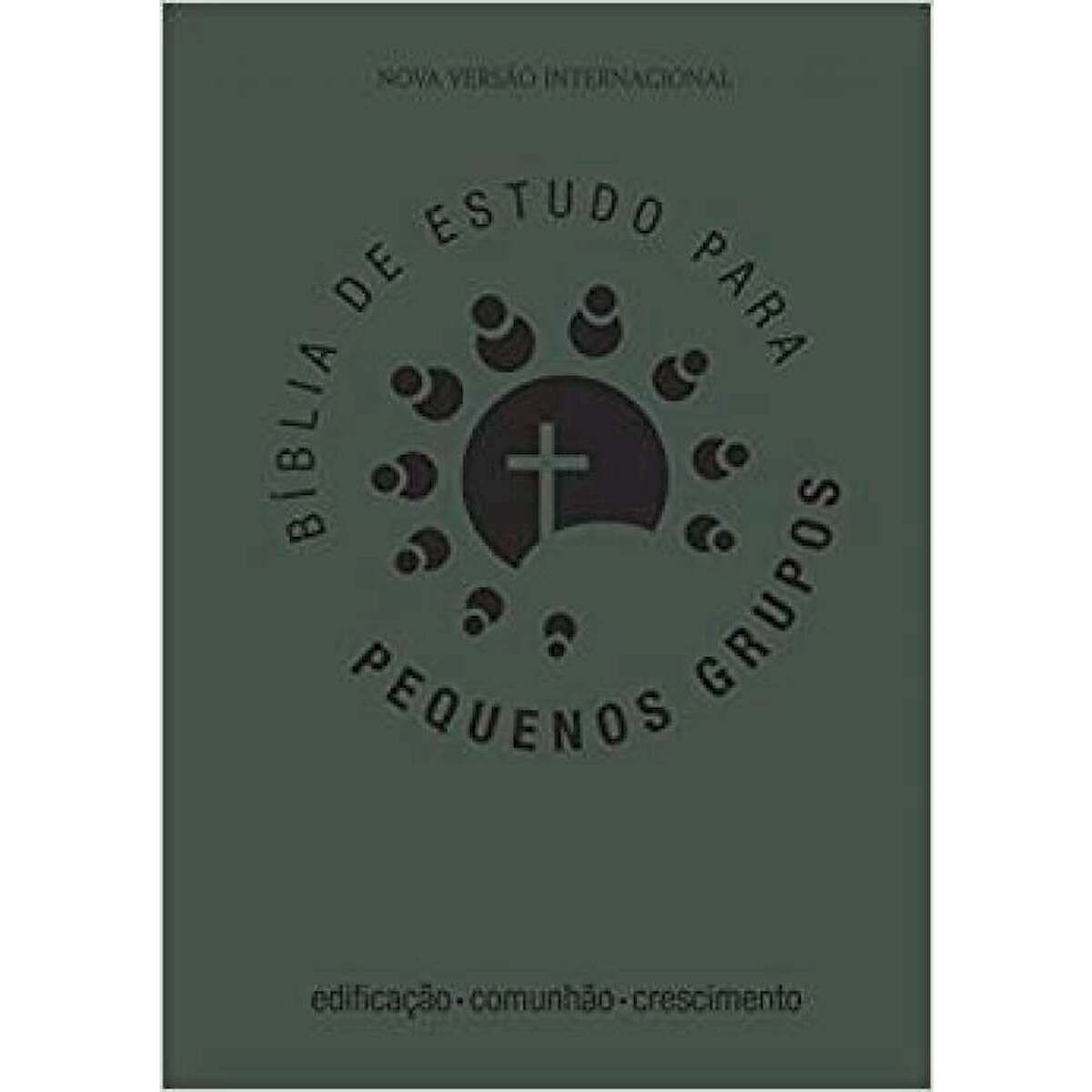 BIBLIA DE ESTUDO PARA PEQUENOS GRUPOS - VERDE
